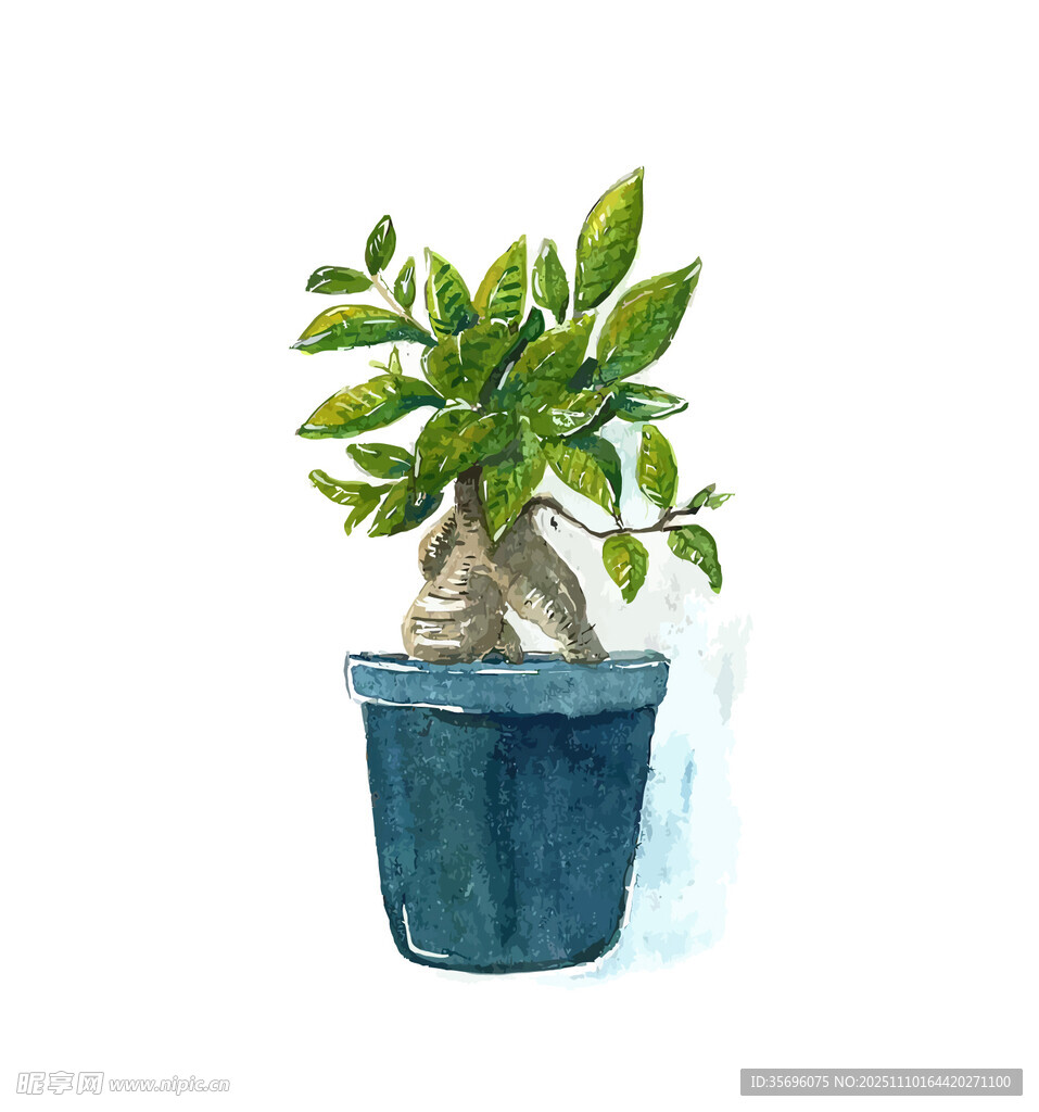 盆栽绿植清新自然之美