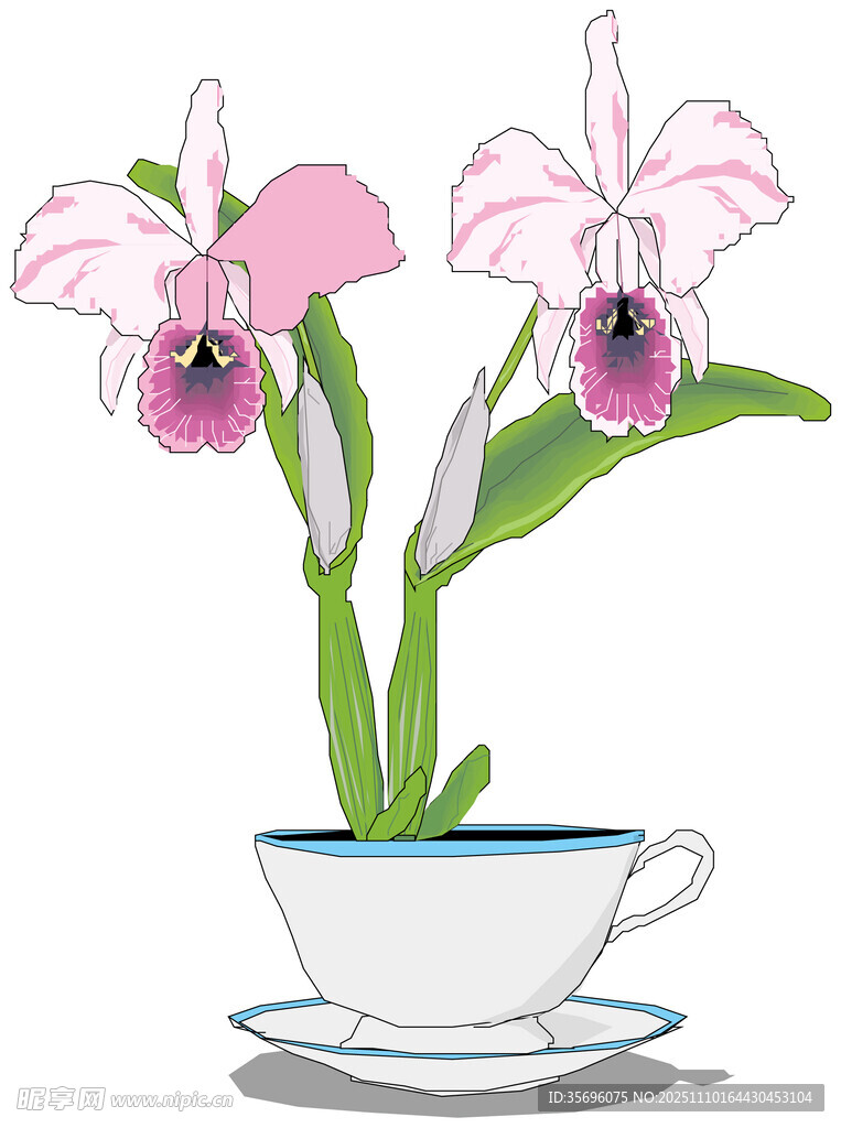 杯中绽放的别致兰花