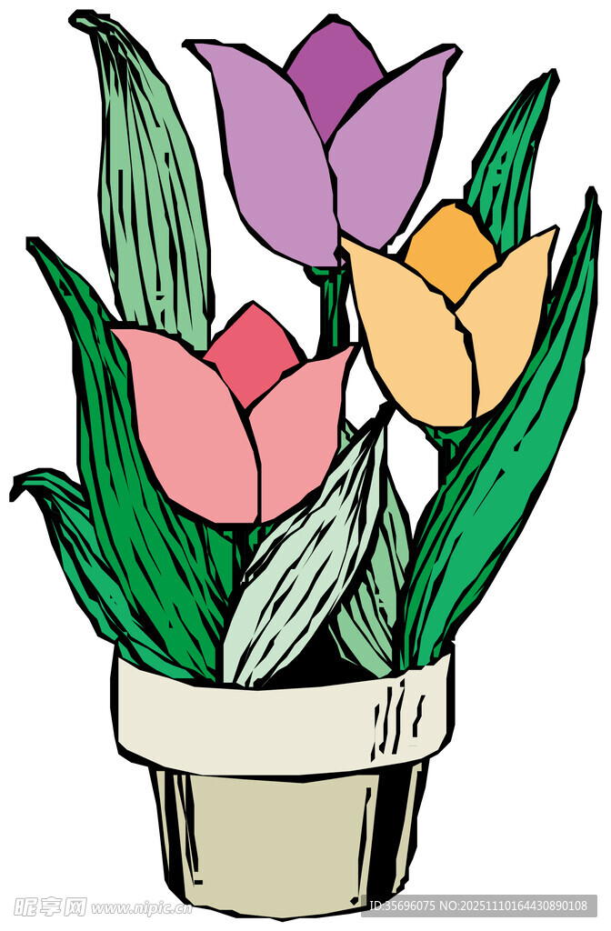 花盆中的多彩郁金香