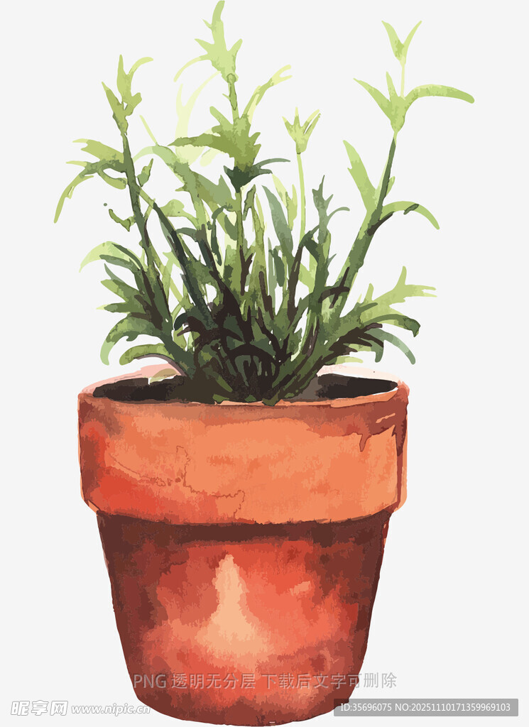 陶盆中的翠绿植物