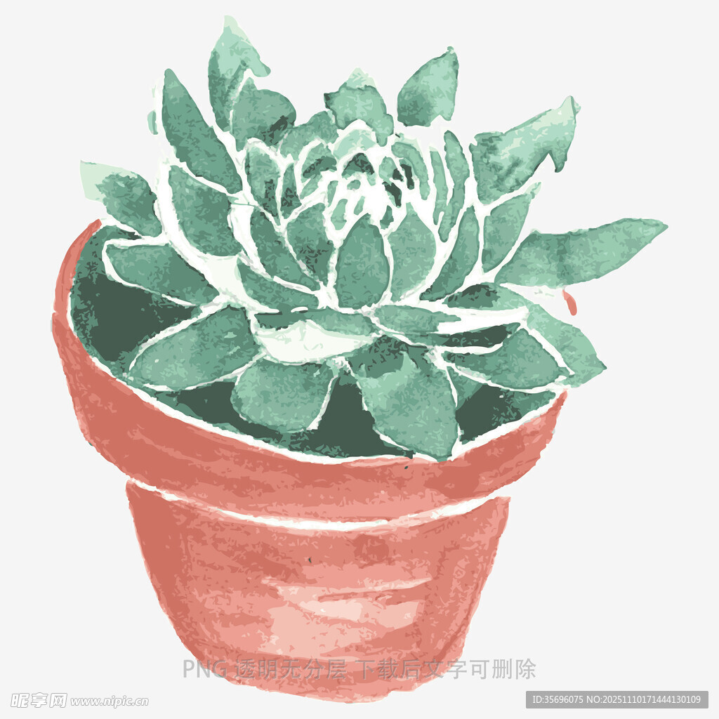 手绘盆中多肉植物