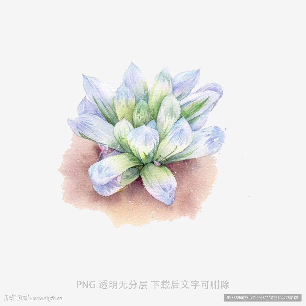 淡紫色花卉水彩画