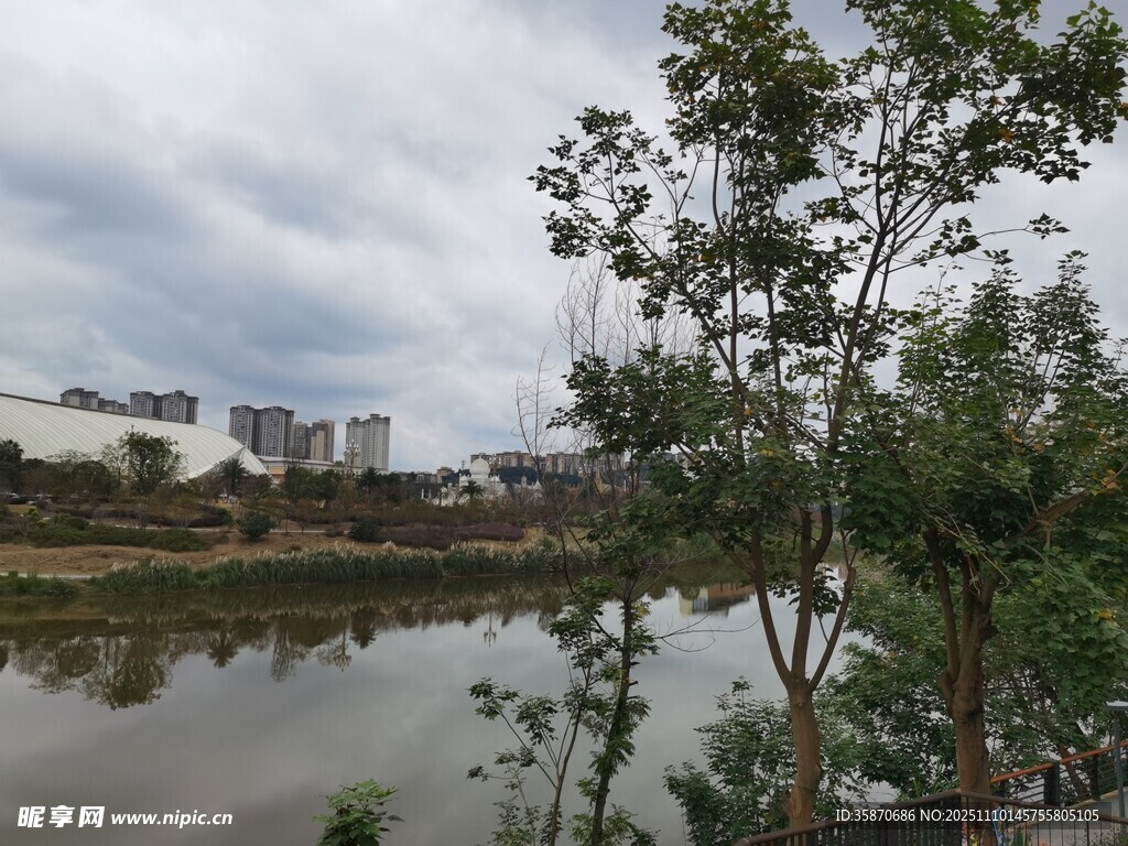 湖畔绿树环绕的宁静风光