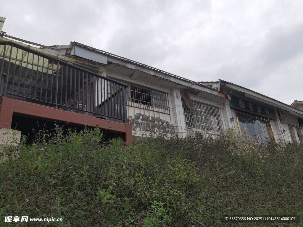 老旧建筑旁的茂盛植被
