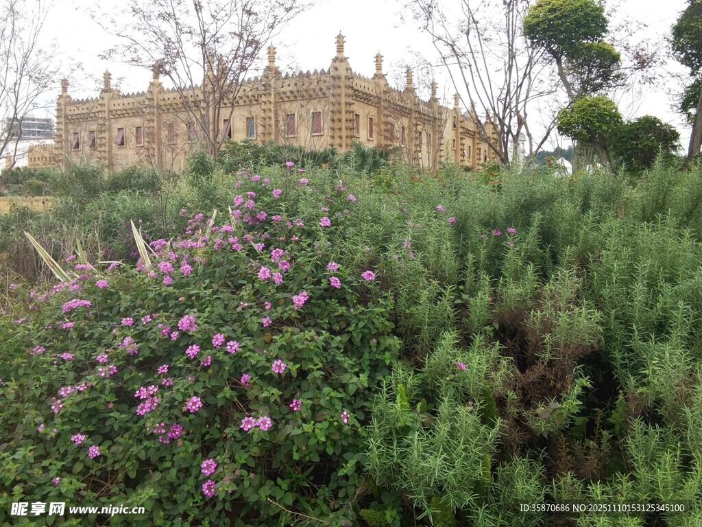 繁花簇拥下的古典建筑