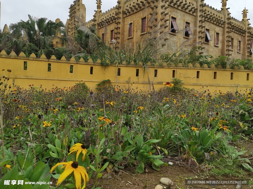 古老建筑前的绚烂花丛