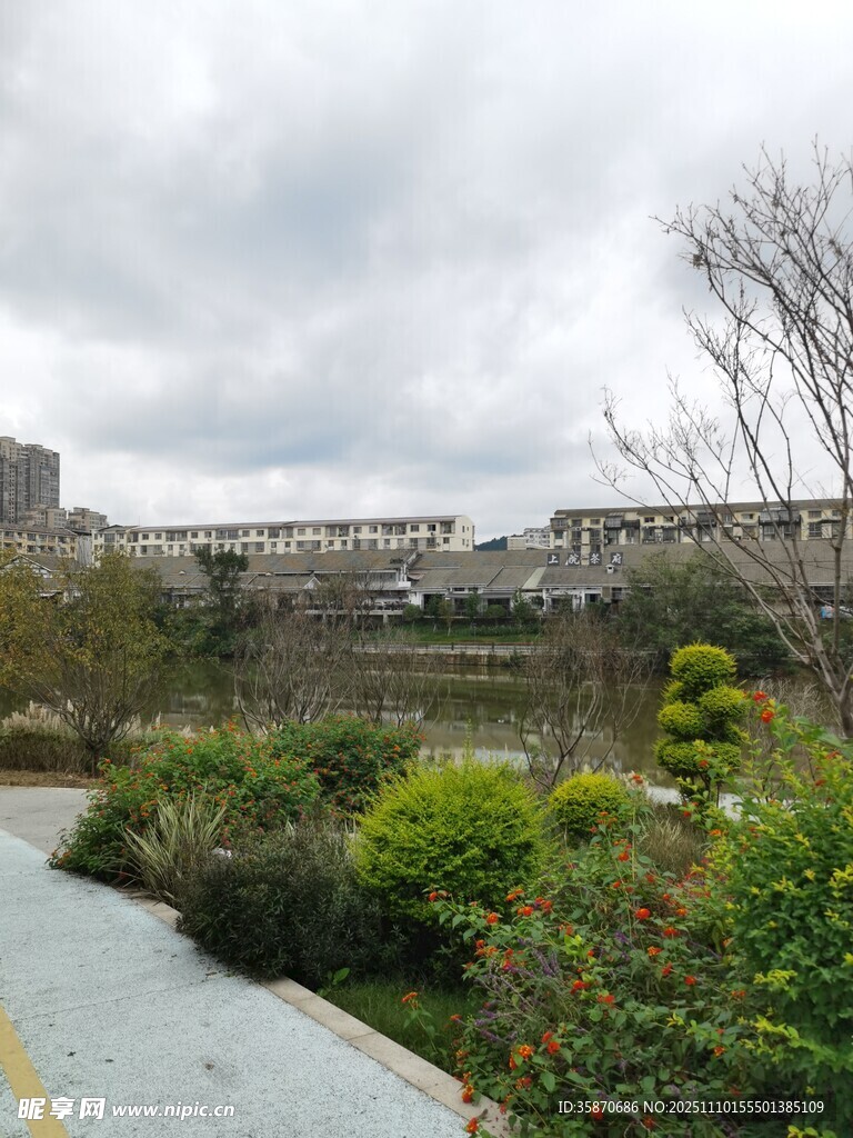 城市中的宁静绿植小径