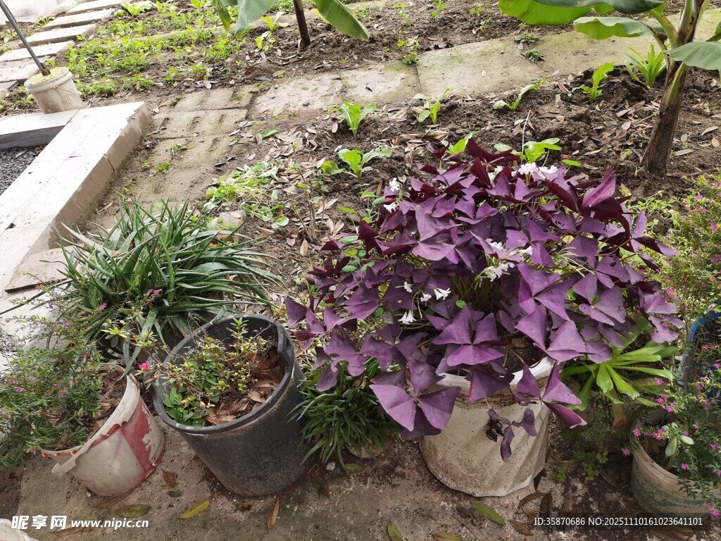 多彩盆栽装点户外小空间