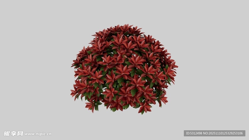 红叶石楠球3D模型