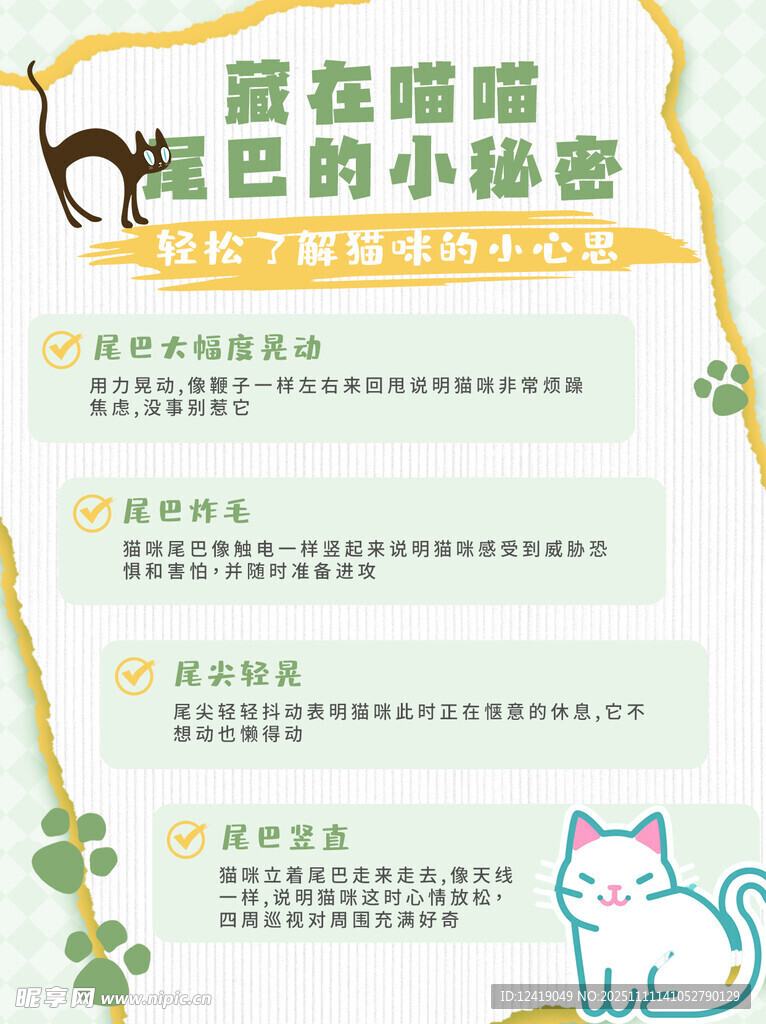 猫尾巴科普海报