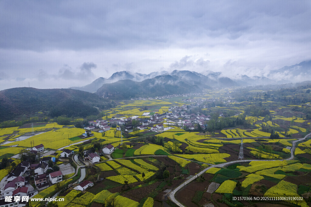 春日山村油菜花海美景