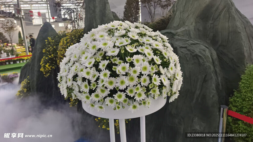 白色菊花花束祭奠用品