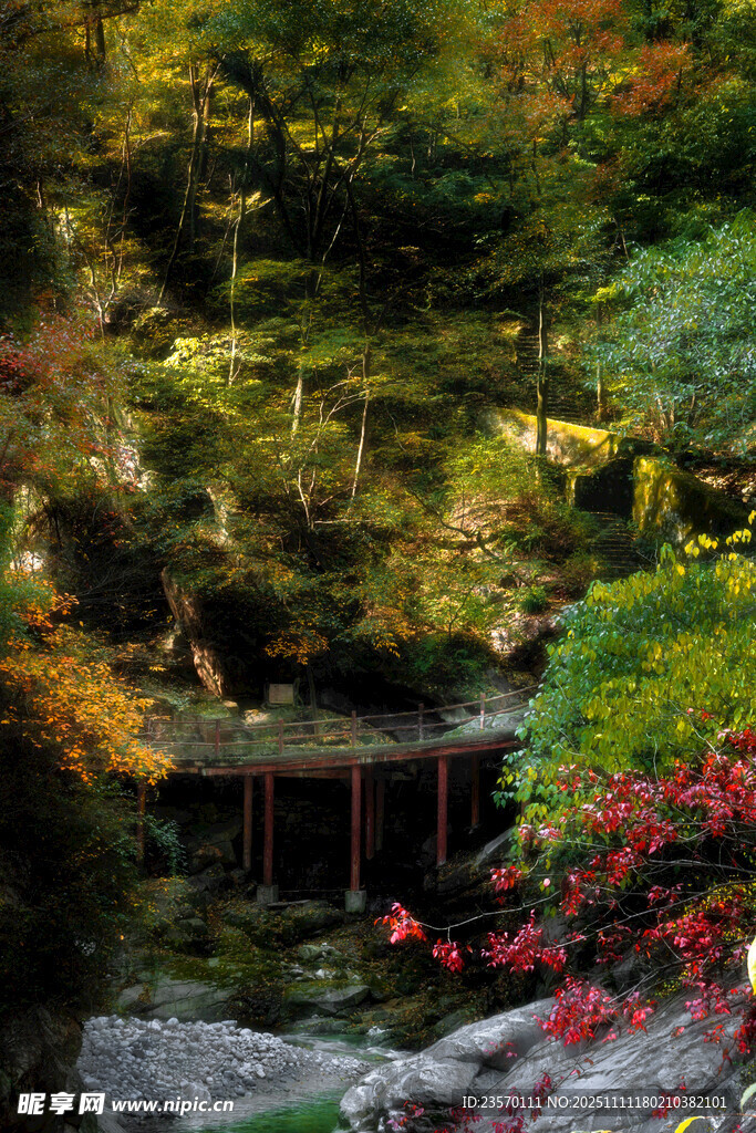 秋日幽美日式园林景观