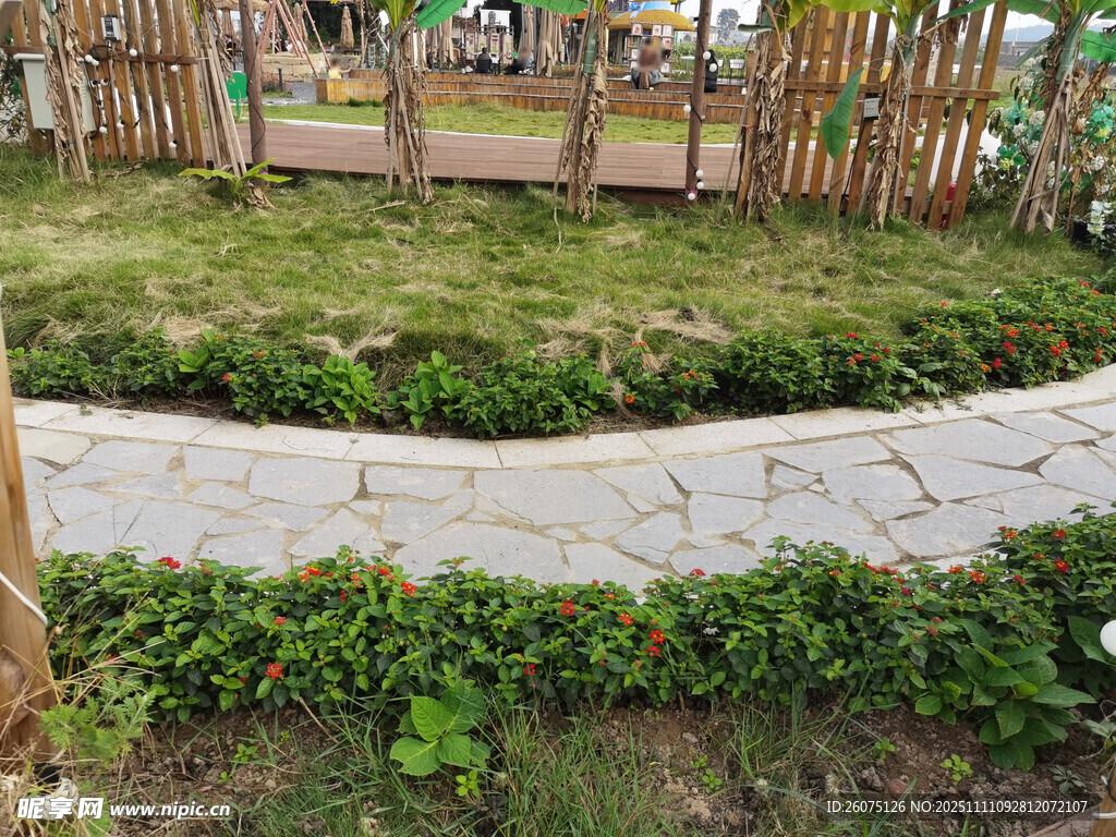 花园小径自然清新景致