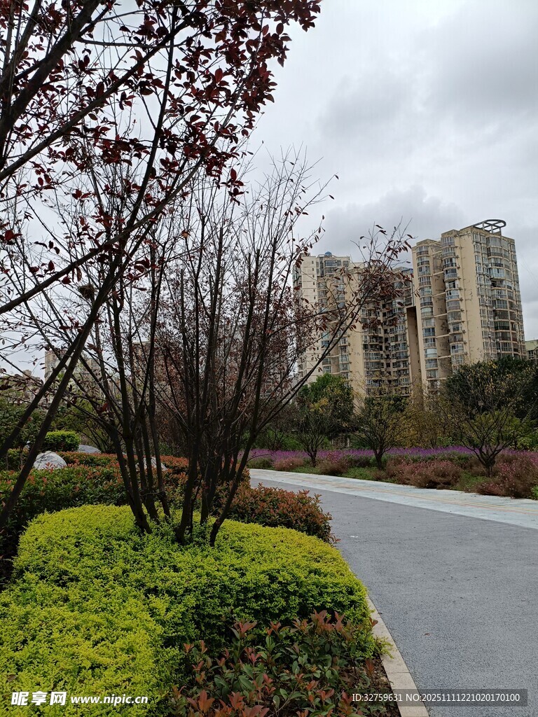 城市中静谧的林荫道路