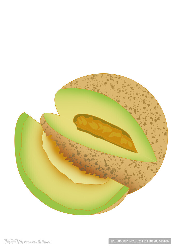 手绘哈密瓜