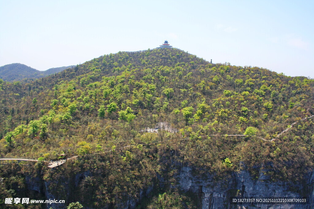 绿意盎然的山丘景观
