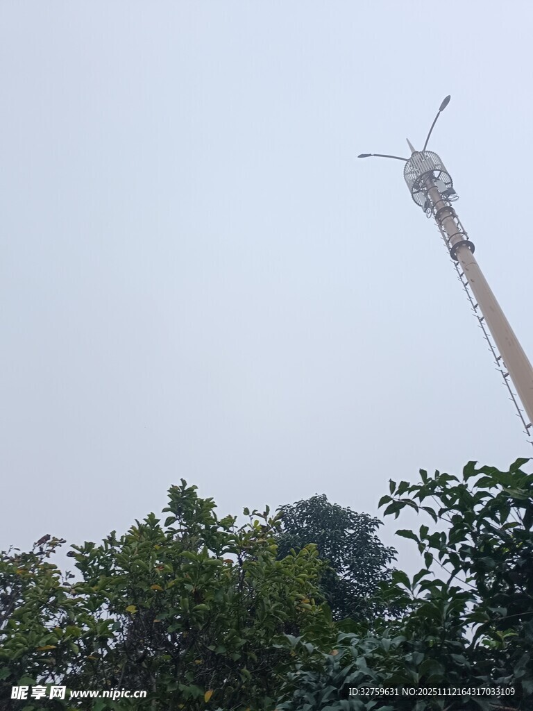 高耸塔吊立于绿树之上