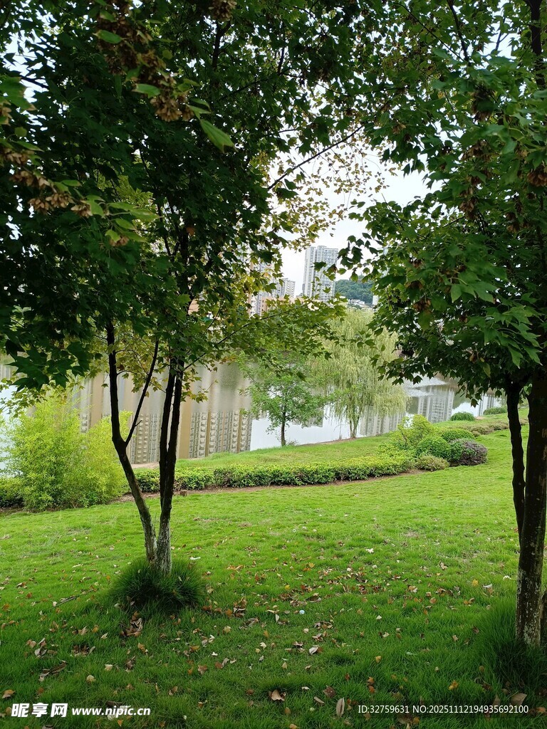 绿意盎然的公园景致