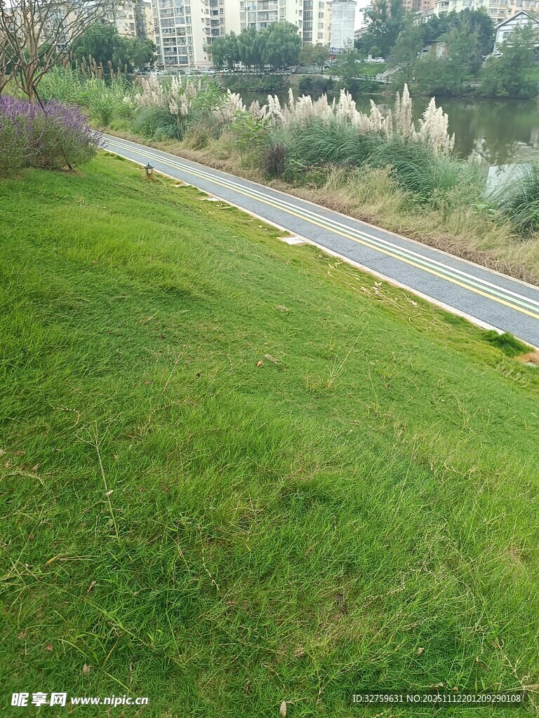 绿意盎然的户外道路景观