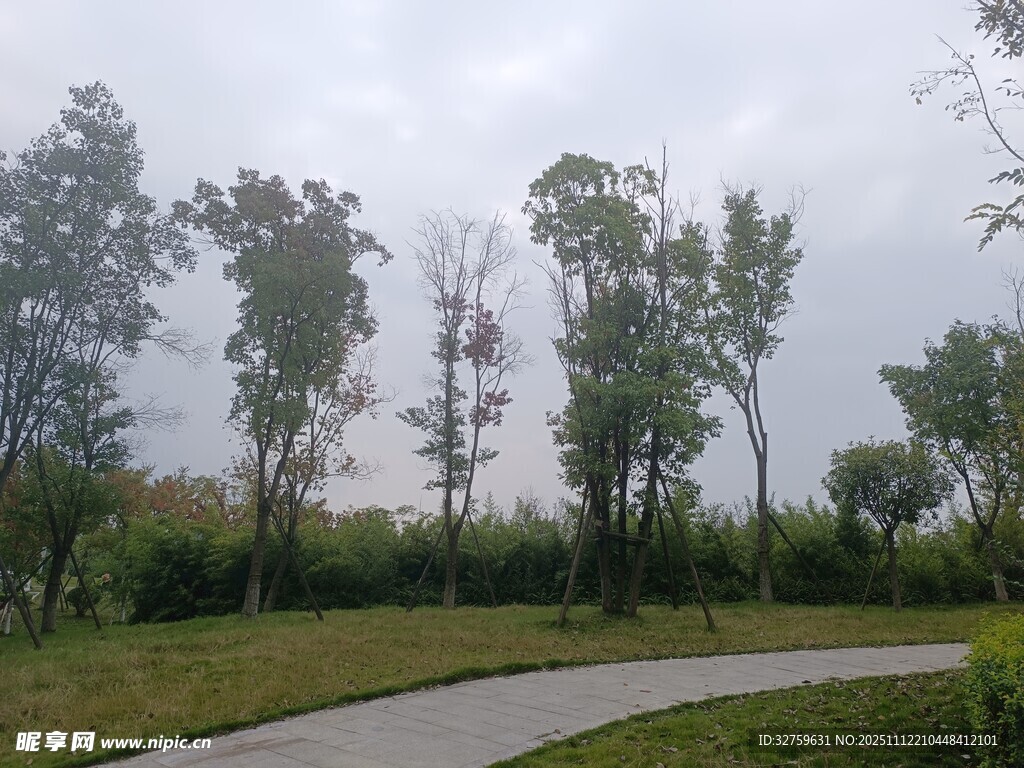 郊外林荫小道风景