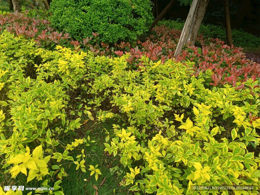 多彩花卉绿植景观