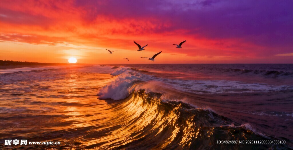 海上日落飞鸟壮丽景象