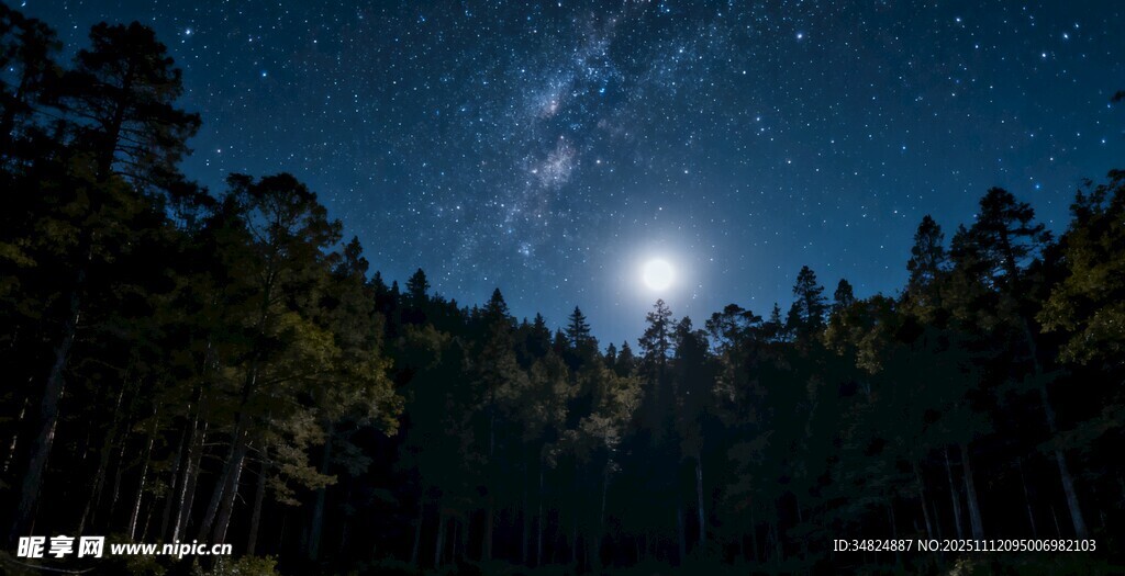 森林夜空下的璀璨星河