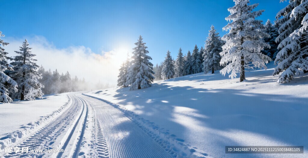 冬日雪林之路