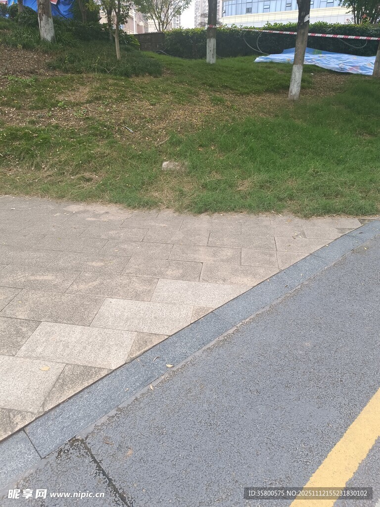 道路旁的草地与路面