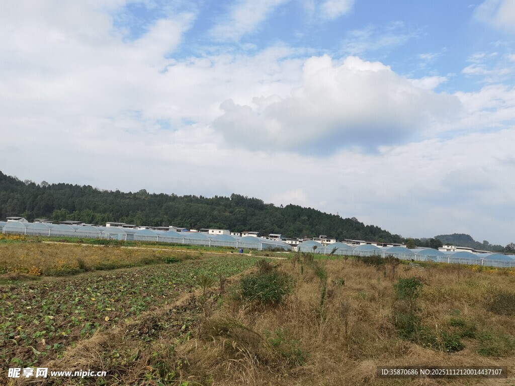 田野湖畔风景