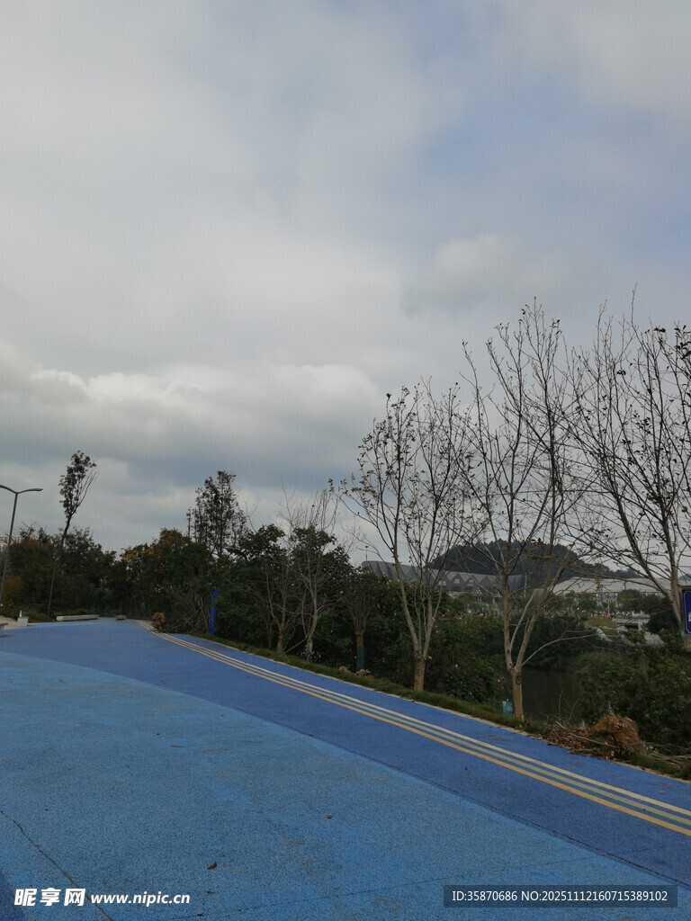 户外蓝色场地与远景树木