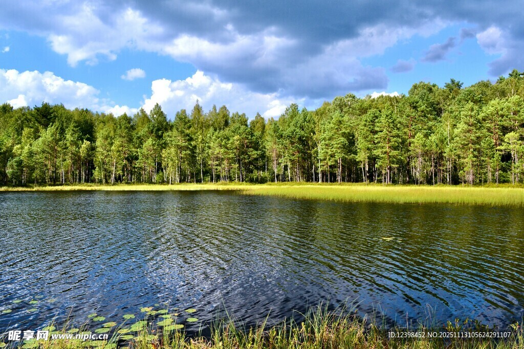 湖畔森林美景
