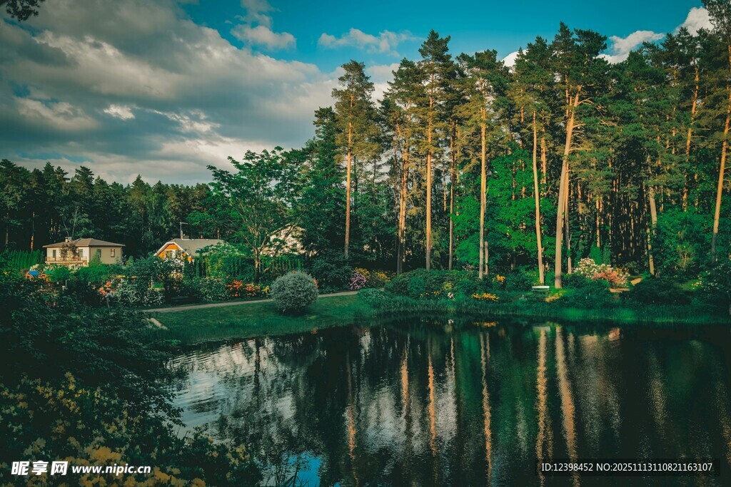 湖畔森林美景