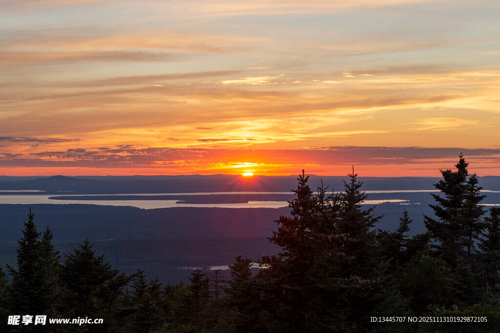 山顶日落时分的森林美景