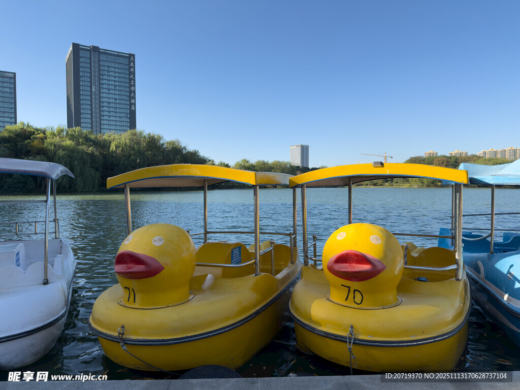 湖畔可爱小黄鸭脚踏船