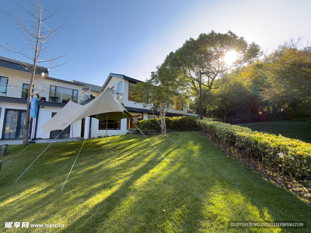 阳光照耀下的美丽庭院