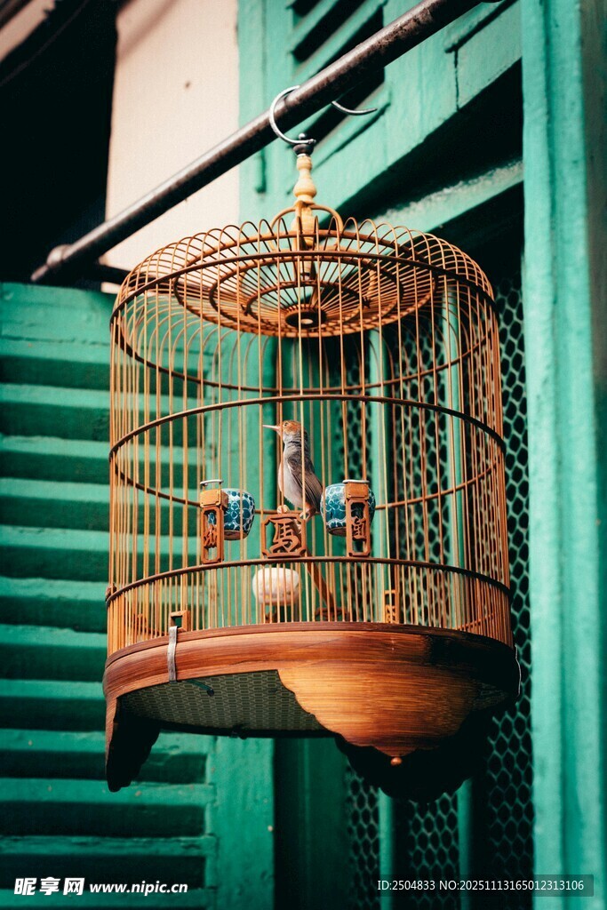 挂在绿墙的复古鸟笼