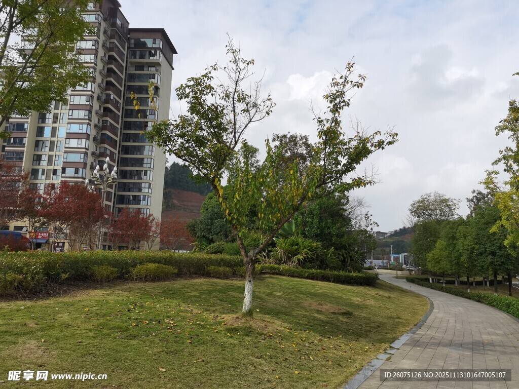 城市中宁静的绿化小径