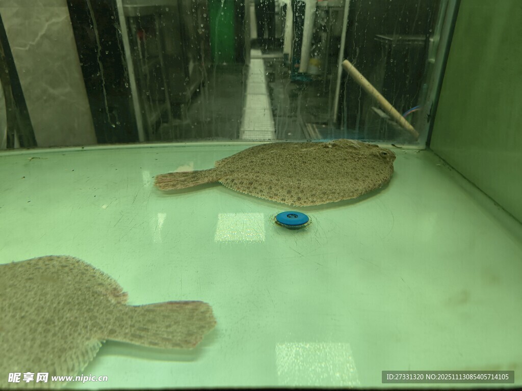 玻璃展柜中的奇特物品