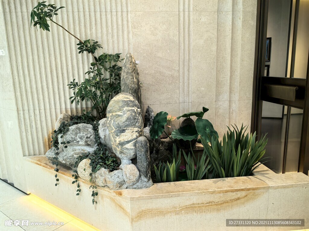 室内角落的精致绿植景观