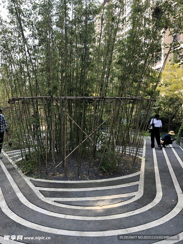 竹林环绕的阶梯景观