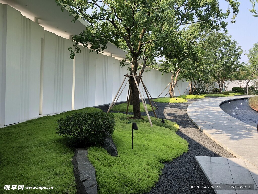 庭院绿植景观设计一角