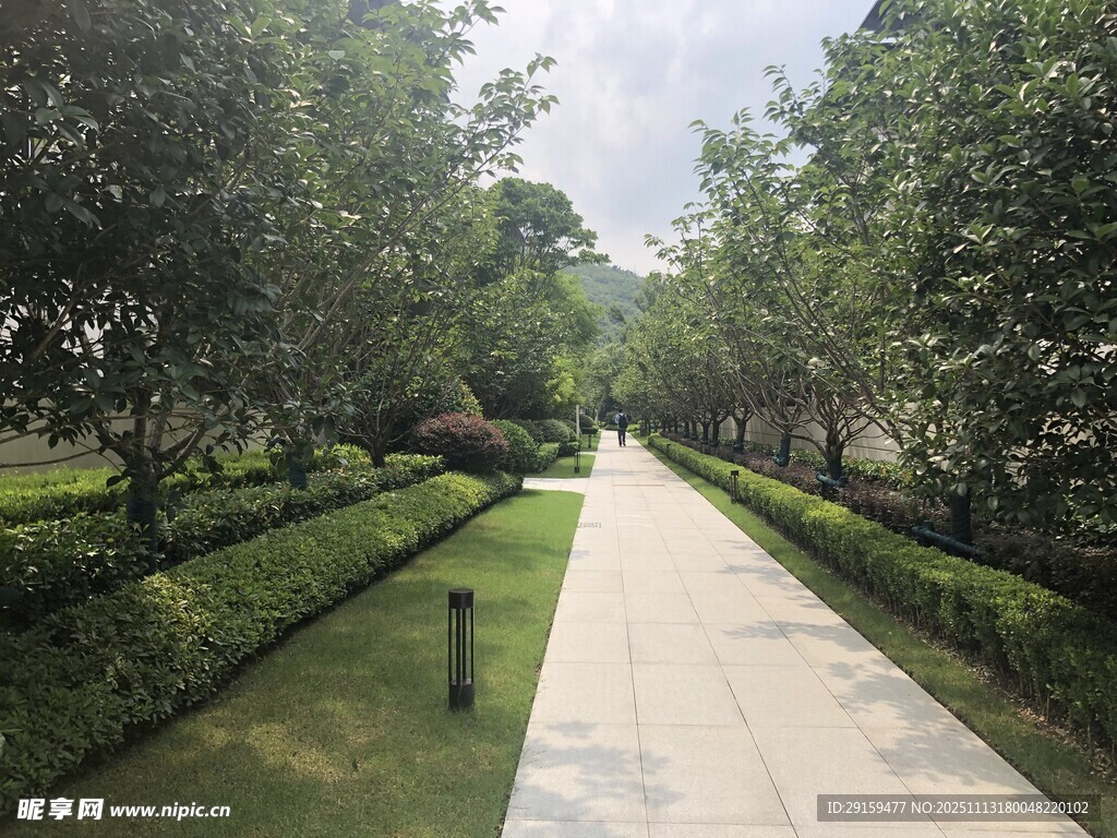 林荫步道静谧园林景致