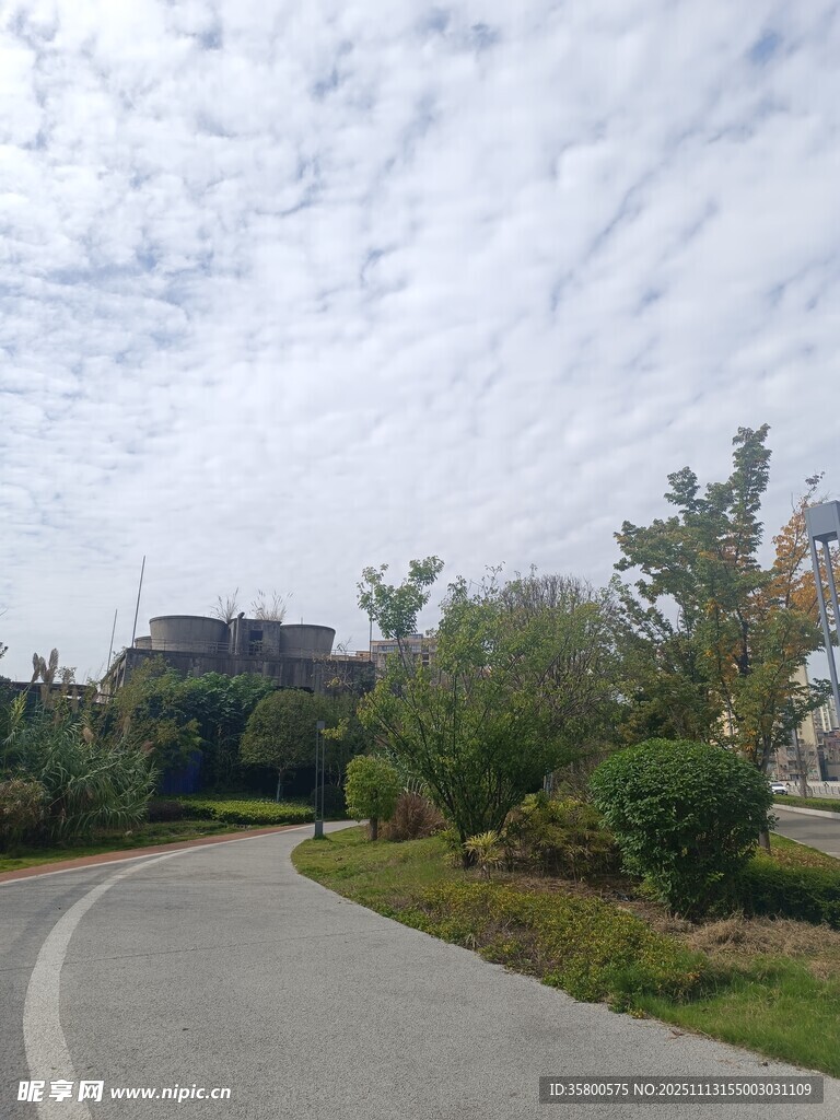 蜿蜒小路旁的绿植景观