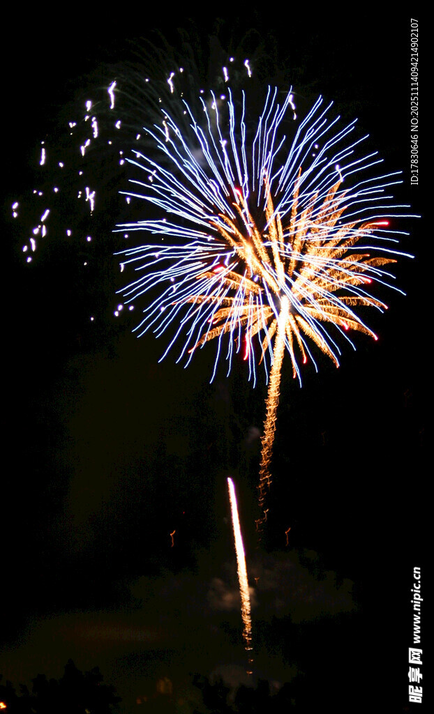 夜空中绚烂绽放的烟花