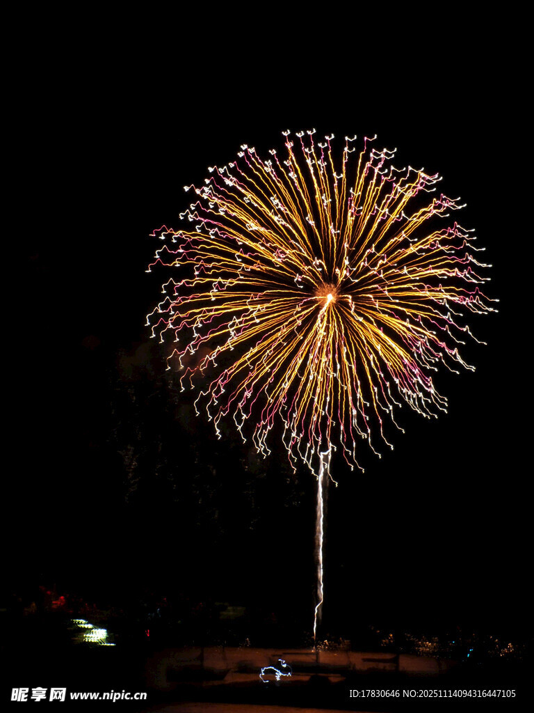 夜空中绚烂绽放的烟花