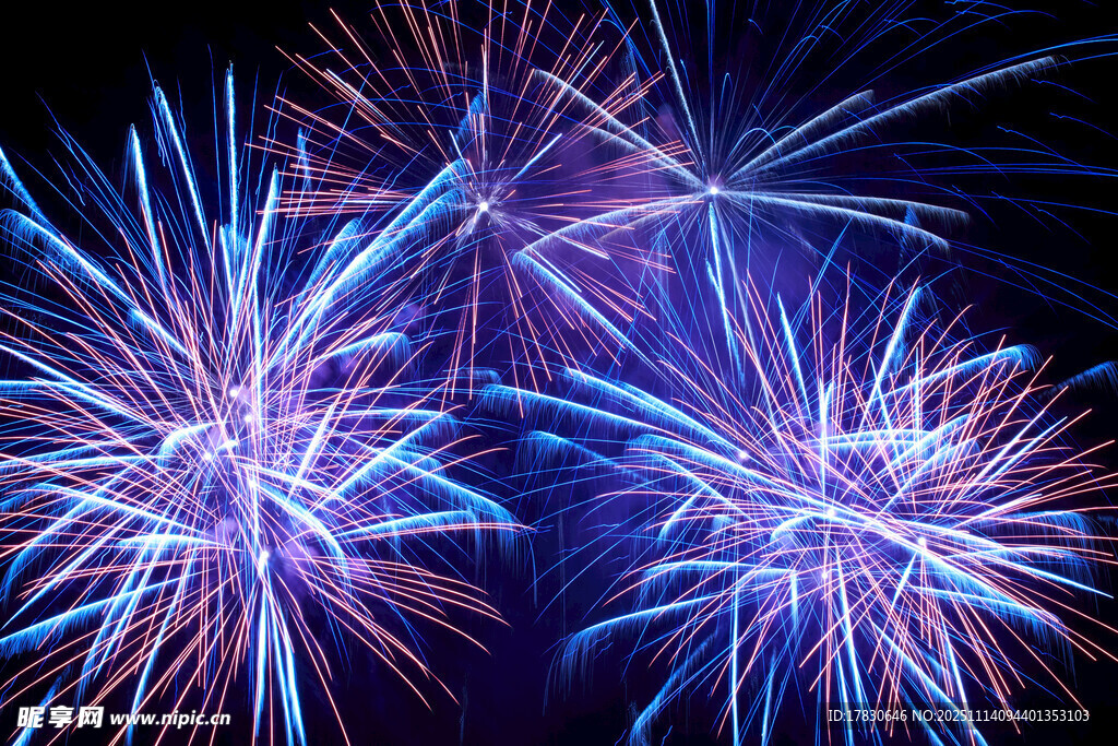 绚丽烟花绽放夜空