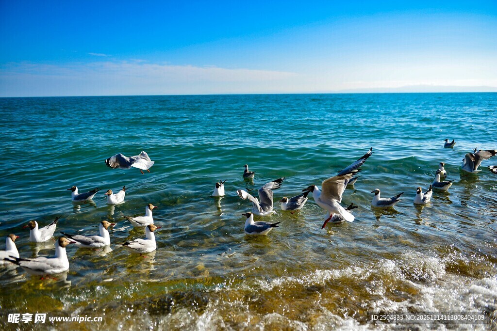 海边人群嬉戏的欢乐场景