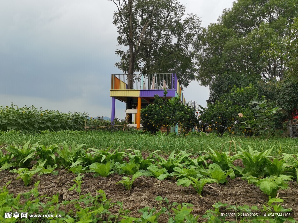 田野中的多彩小屋